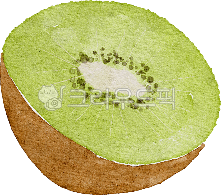 Kiwi cross section,fruit,Element,drawing,graphic,hand drawing,png,food,sliced,Kiwi,watercolor,painting,kiwi picture,illustration,tropical fruit,Watercolor,design source