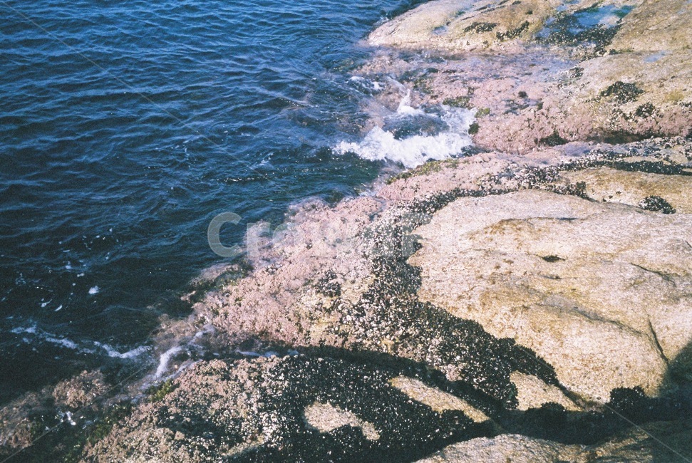 바다,필름,필름사진,돌,파도,속초,자연,풍경,nature,landscape,rock,록