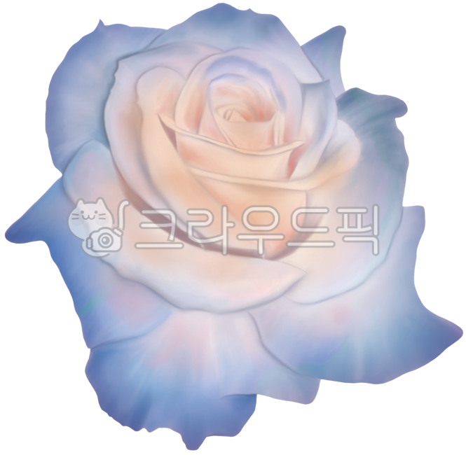 꽃,식물,일러스트,꽃일러스트,자연,그림,잎,꽃잎,디자인,오브젝트,일러스트레이션,그래픽,디자인소스,flower,장미,장미꽃,파란색꽃,rose