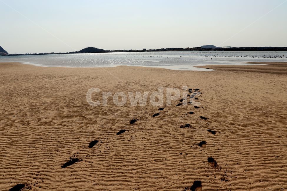 trace,footprint,erased,sandy beach,beach,The road we passed,footsteps