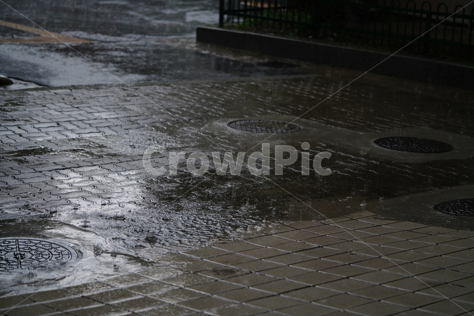 비,빗물,rain,날씨,물,water,보도블럭,비,비오는날,rain,rainy