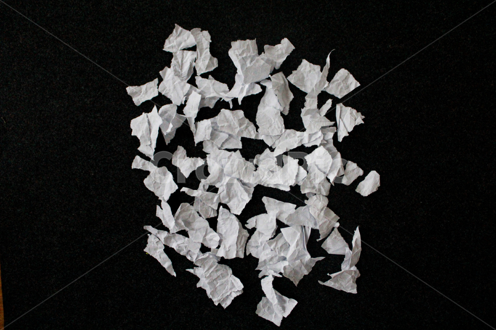paper,종이,찢어진종이,tear,흑백,쓰레기,trash
