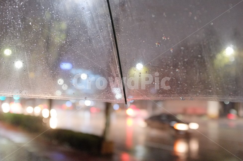 감성,비,비오는날,투명우산,rain,감성,sensible,feeling,비,비오는날,rain,rainy