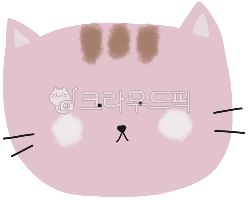 고양이,동물,분홍색,분홍색고양이,분홍고양이