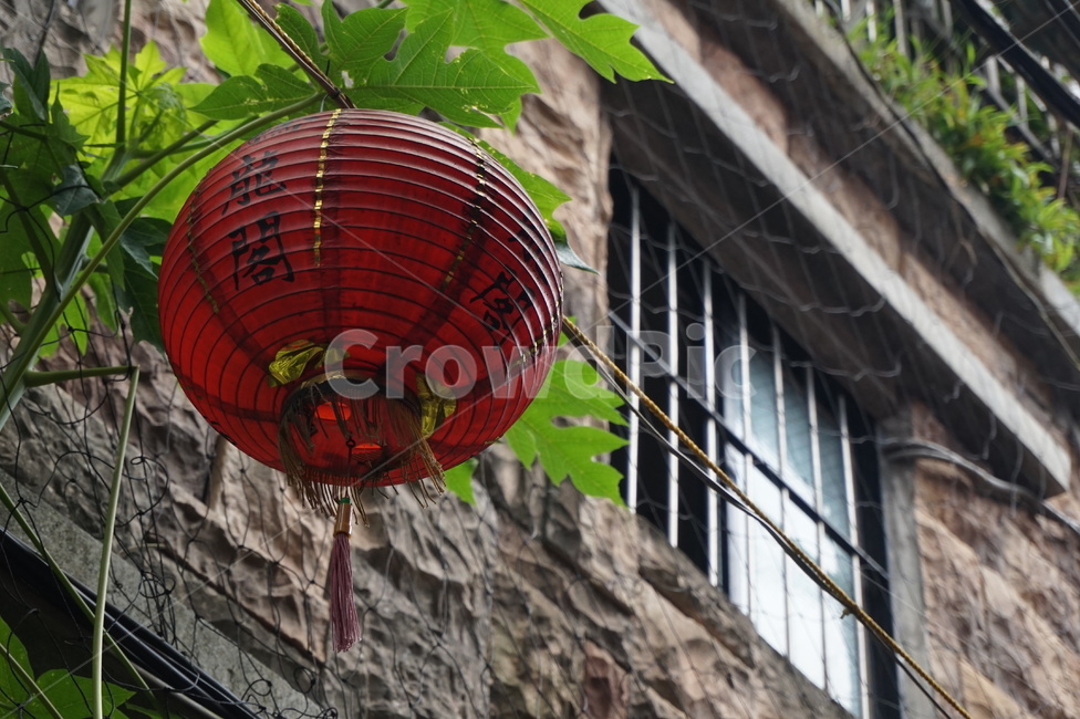 대만,홍등,타이페이,타이완,여름,창틀,풀,taipai,taiwan,summer,building,window,grass
