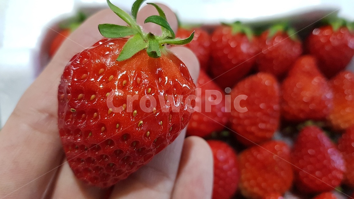 fruit,과일,food,strawberry,딸기