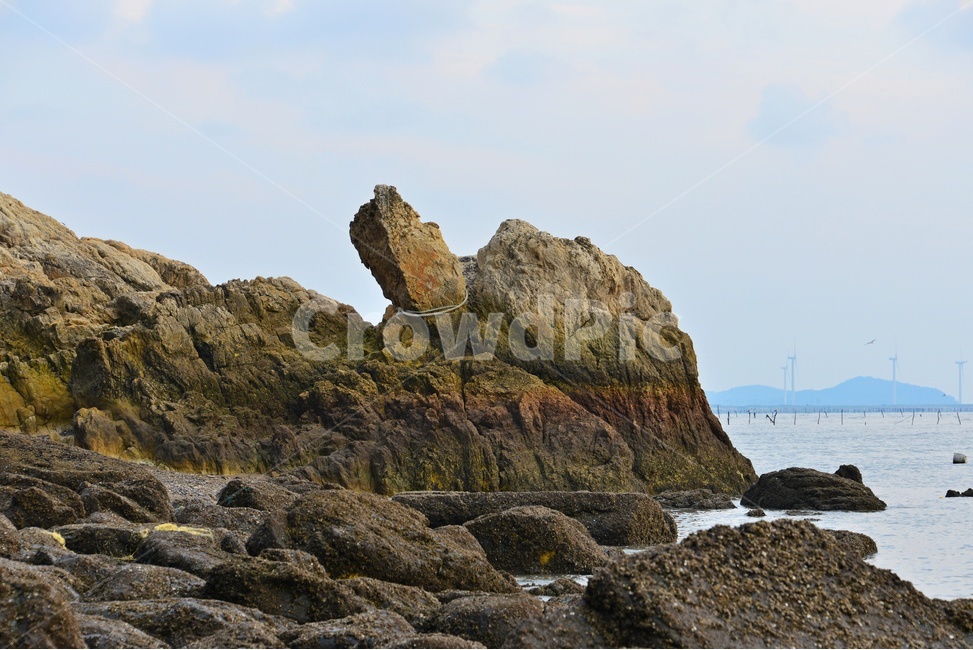 promontory,곶,nature,자연,outdoors,옥외,영광,백수,백수해안,거북이바위,거북이