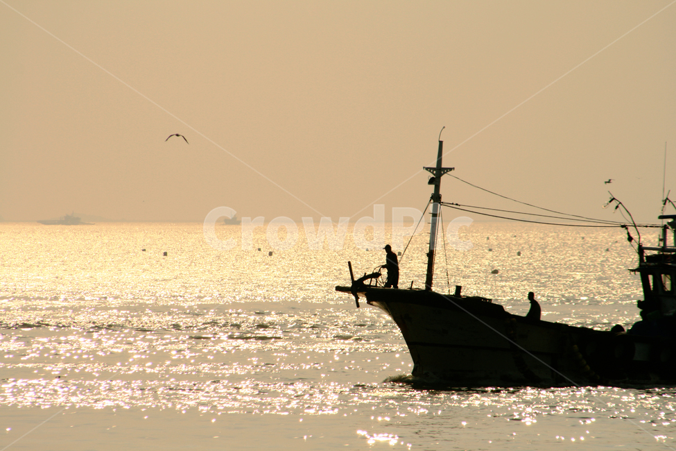 선박,강,바다,갈매기,어선,어부,어업,fishery,fishing industry