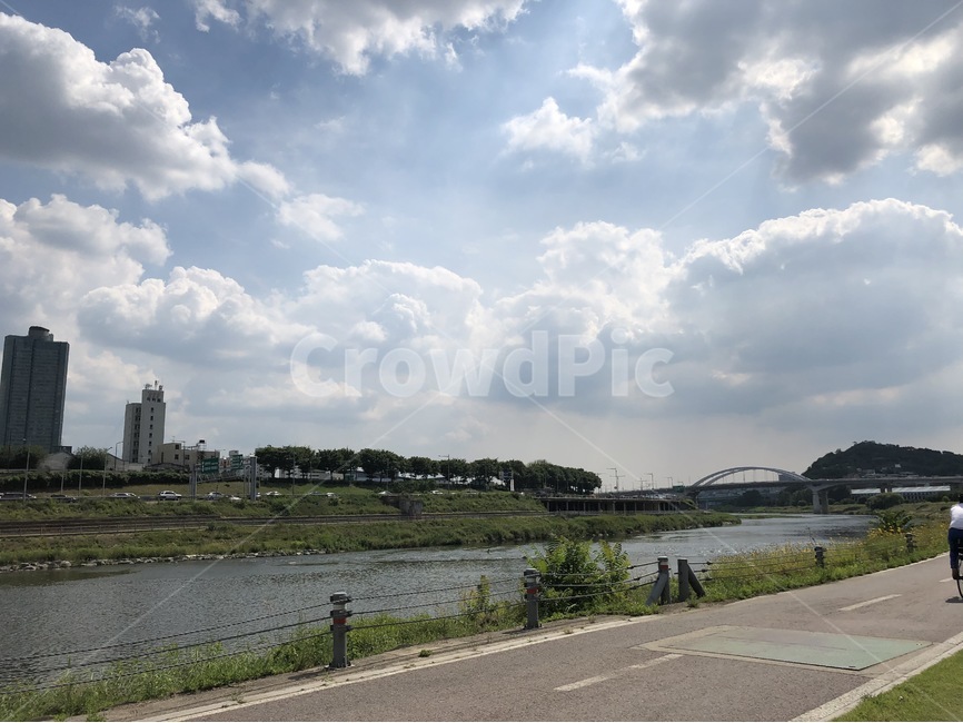 나무,하늘,햇살,식물,자연,plants,nature,cloud,구름,산책,청계천