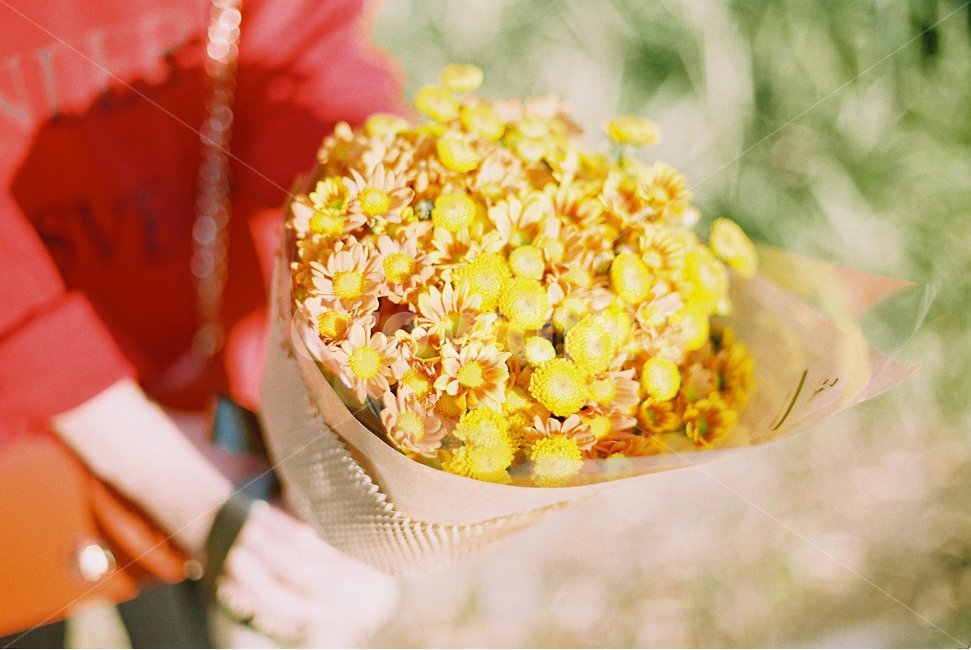 봄,꽃,사랑,연인,선물,니콘,필름,fm2,film,snap,flower,present,love,spring,꽃다발,식물,자연,plants,nature,꽃,flower,기념일,축하,anniversary,congratulation,celebrate,celebration,감성,sensible,feeling,색깔,색상,색채,색감,color sense,color sensitivity,feeling of color