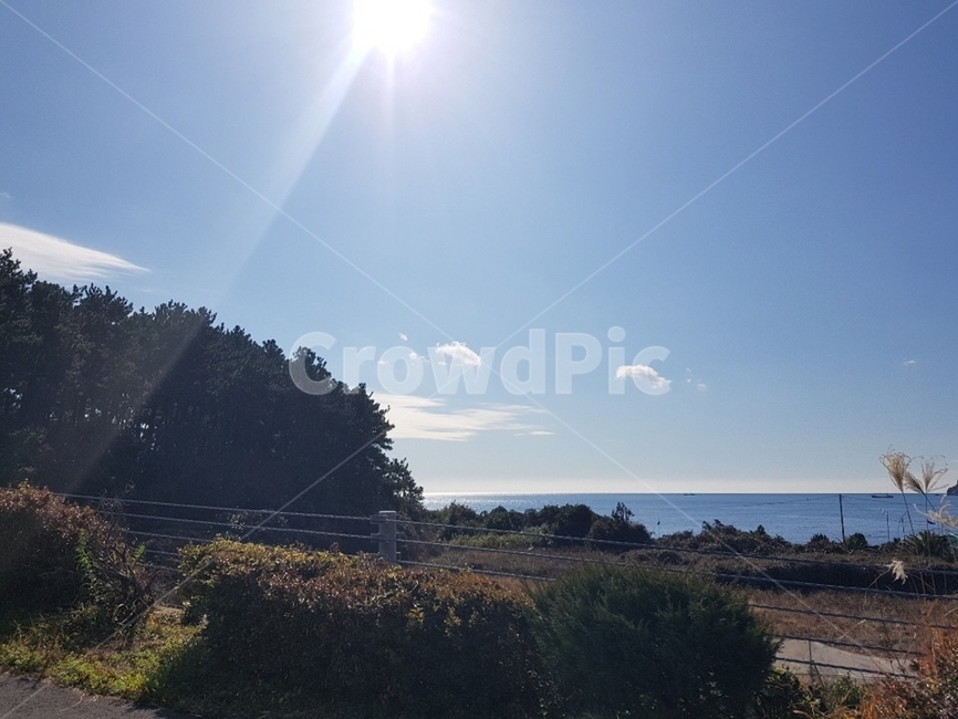 제주도,서귀포,하늘,구름,해,바다