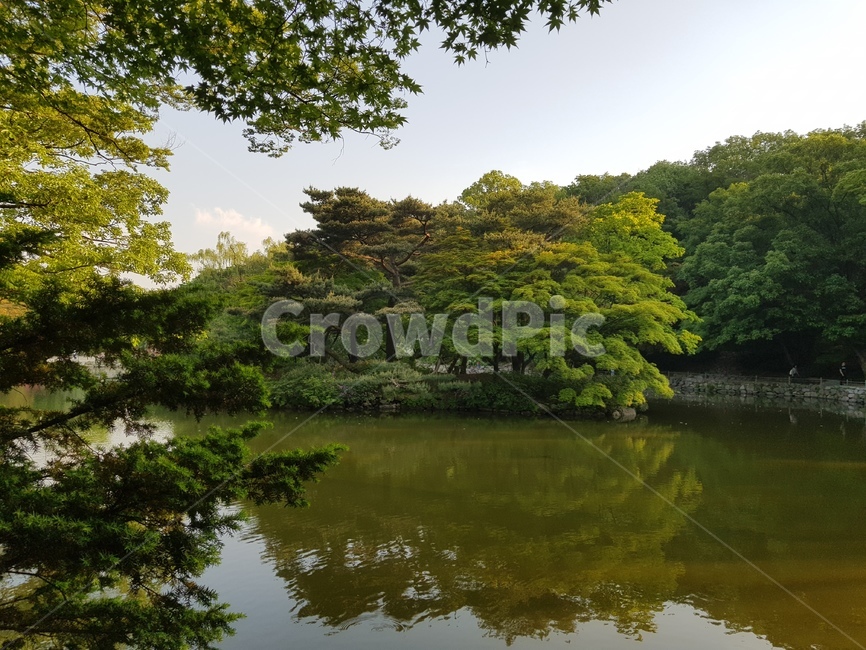 한국,전통,창경궁,문화재,역사,korea,tradition,changgyeonggung,palace,history