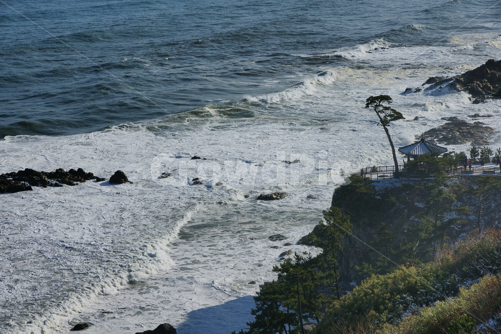 nature,자연,바다,sea,동해