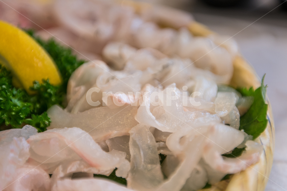 회,우럭,횟집,생선,횟감,날생선,날것,음식,자연산,싱싱한,음식,식재료,요리,food,cook,meal,dishes,food reserves,수산물,해산물,fishery products,seafood