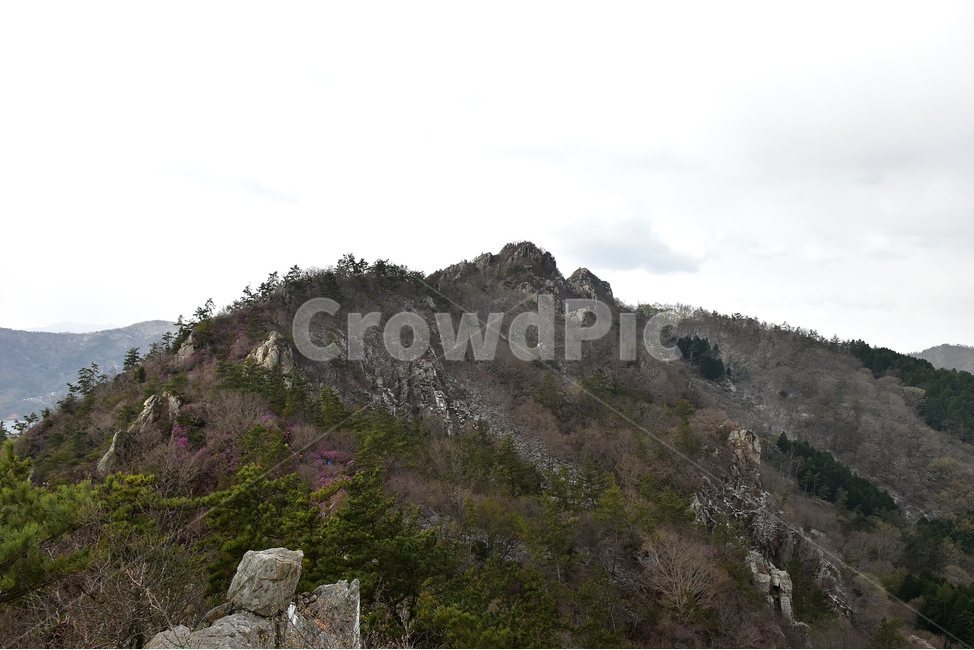 주작산,덕룡산,종주,진달래,풍경,기암,바위,비경,봄풍경,진달래꽃,강진,명산,산행,등산,마운틴,힐링,mountain,landscape,자연,natural,봄,계절,spring,season,자연,풍경,nature,landscape,한국자연풍경,한국자연경관,korea nature landscape,outdoors,옥외,slope,경사