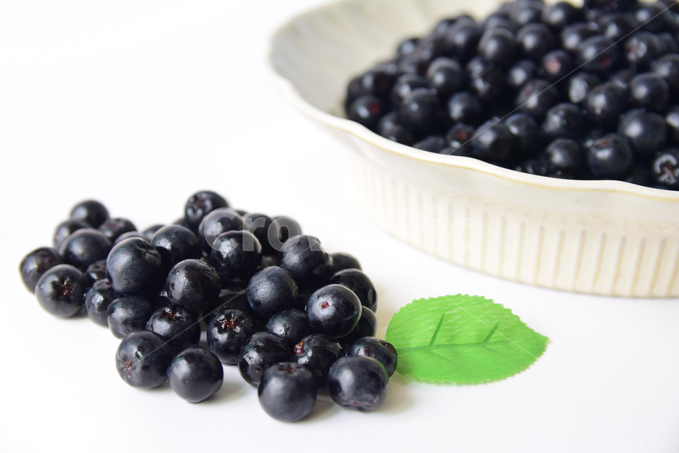 아로니아,아로니아베리,베리류,음식,식재료,과일,열매,베리,아로니아열매,접시,aronia,aroniaberry,plate,fruit,berry,food,과일,열매,fruit