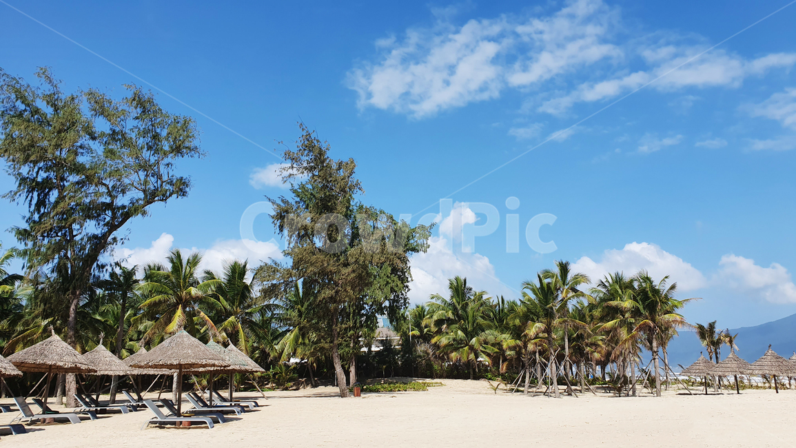 summer,여름,베트남,다낭,bietnam,danang,해변,beach,바닷가,여유,tropical,느긋한,하늘,바다,휴가,휴양지