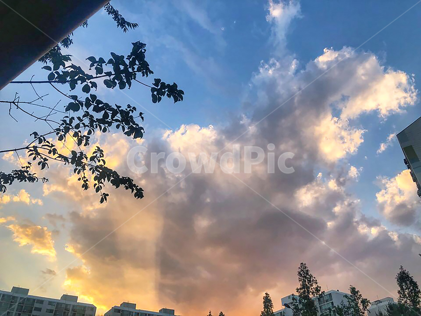 nature,자연,outdoors,옥외,노을,저녁,선셋,sunset,sky,자연,풍경,nature,landscape