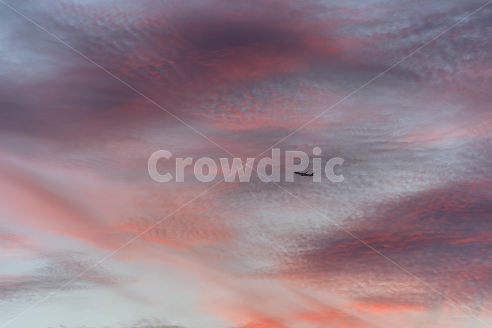 sunset,일몰,비행기,ariplane,travel,trip,view,scene,풍경,교통,교통수단,traffic,transportation