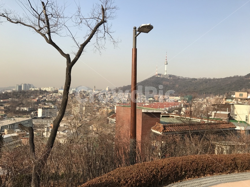 도시풍경,미세먼지,가로등,나무,도시