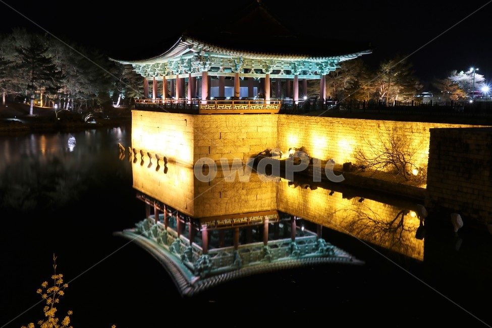 야경,경주,안압지,동궁과월지,관광지,벚꽃,봄,야경,밤,풍경,nightscape,night,landscape,랜드마크,landmark,tourist attraction,한국랜드마크,한국관광지,한국명소,korea landmark,korea tourist attraction,건축물,건물외관,exterior,building,structure,architecture,construction,건물,worship,예배