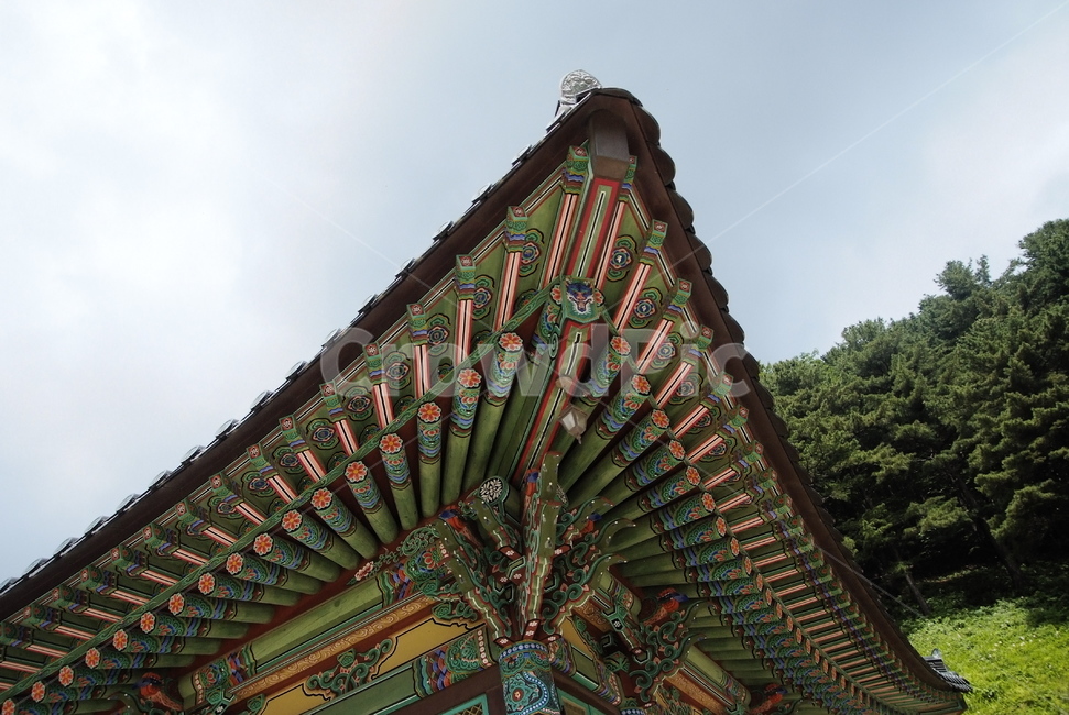 architecture,건축물,한옥,단청,절,불교,한국전통,한국문화,korean traditional,korean culture