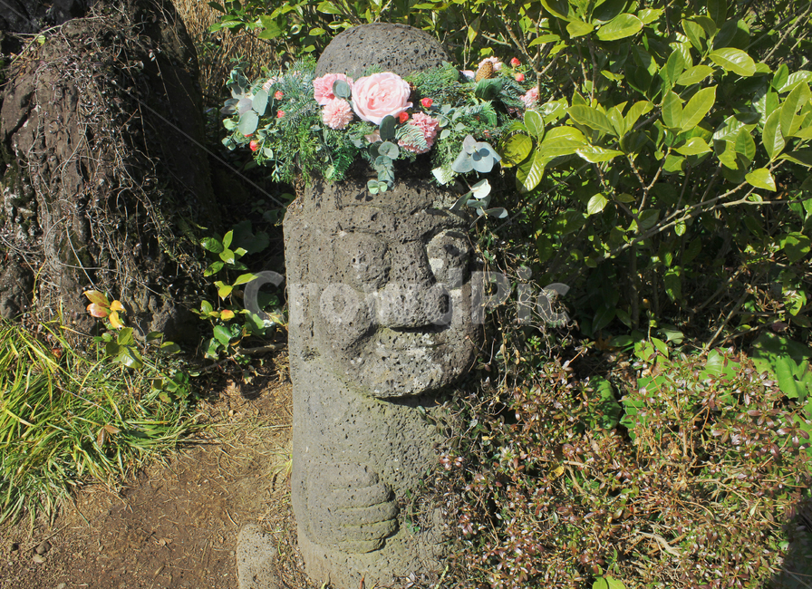 제주,돌하르방,봄,꽃,감성,돌,자연,숲,들꽃,화관,제주도,jeju,jeju island,조각상,동상,석상,조형물,statue,bronze statue,stone statue,plant,식물