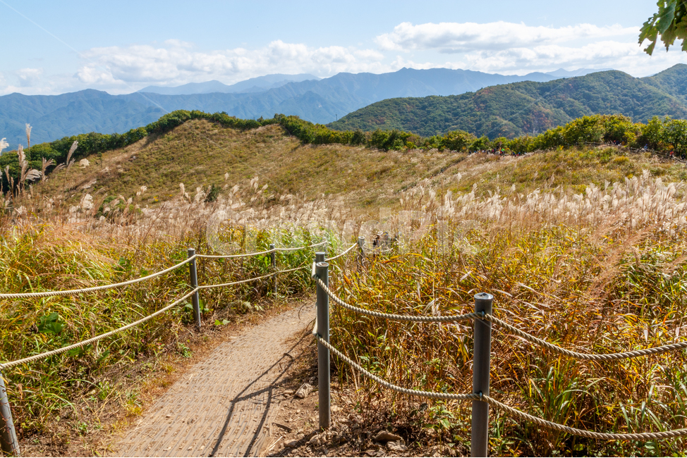 억새풀,가을산행,푸른하늘,등산,명성산,가을,계절,fall,autumn,season
