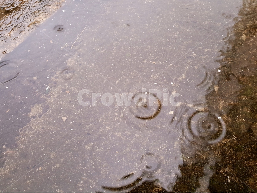 빗방울,물,빗물,패턴,배경,날씨,감정,비오는날,rain,raindrops,background,weather,pattern,비,비오는날,rain,rainy