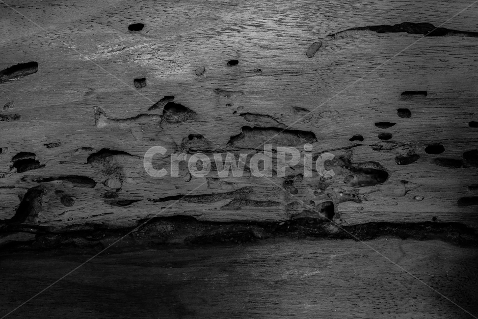 wall,벽,나무,wood,texture,질감,흑백,표면,거친
