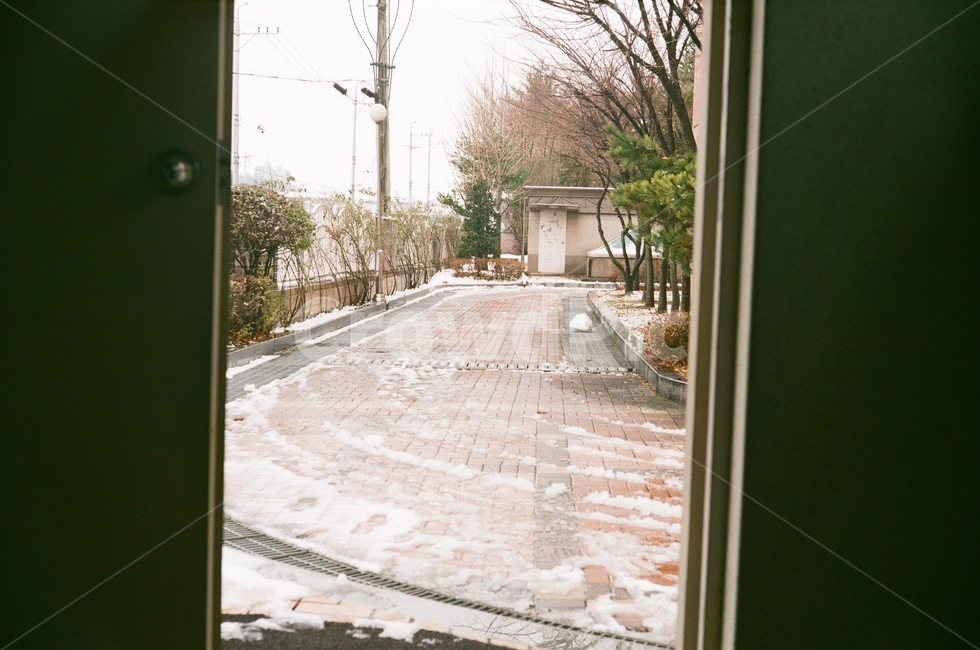 겨울,문,아침,필름사진,차가운,겨울,계절,winter,season