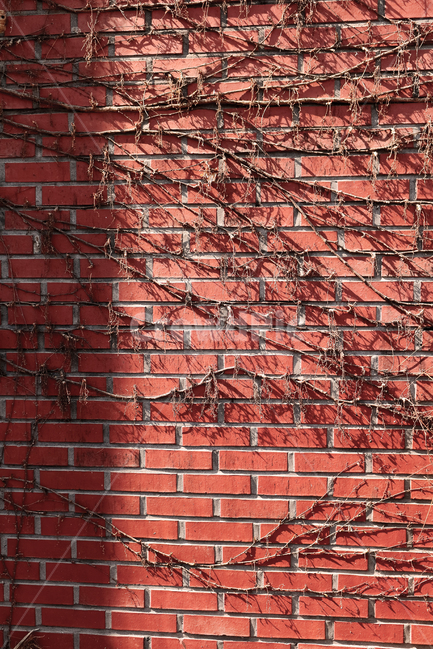 빨강벽,벽돌,빨강,옛날느낌,벽,건축물,건물외관,exterior,building,structure,architecture,construction