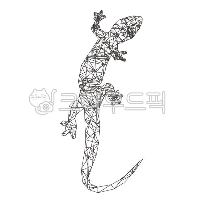 도마뱀,별자리,기하학,기하학무늬,lizard,리자드,뱀,카멜레온,파충류,개코,도롱뇽,개구리