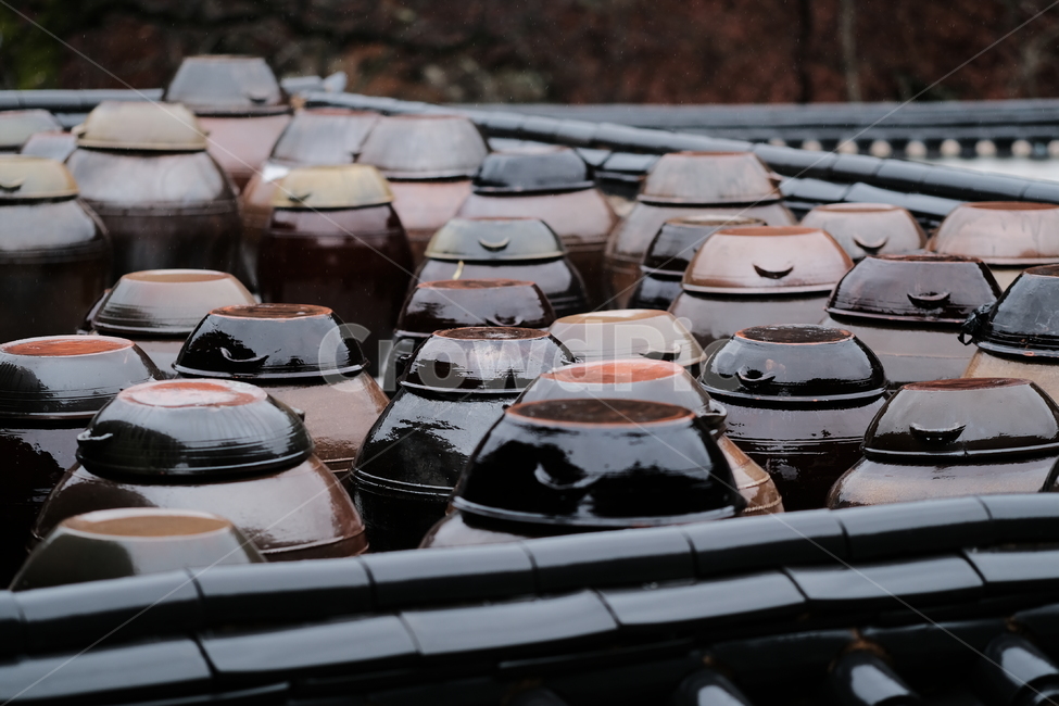 장독대,rainyday,비,기와,비오는날,한국전통,한국문화,korean traditional,korean culture,사물,물건,오브젝트,thing,object,matter