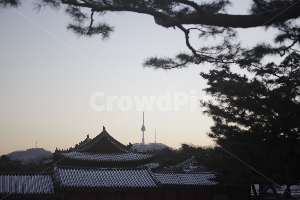 남산타워,창경궁,한옥,서울,랜드마크,seoul,겨울,한국전통,한국문화,korean traditional,korean culture,랜드마크,landmark,tourist attraction,한국랜드마크,한국관광지,한국명소,korea landmark,korea tourist attraction,건축물,건물외관,exterior,building,structure,architecture,construction