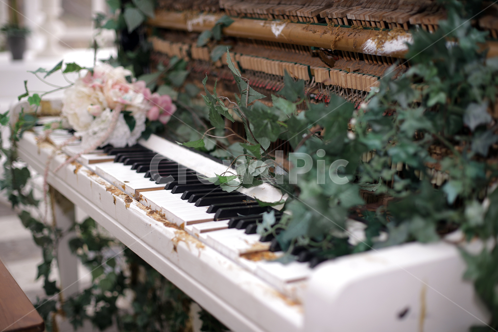피아노,꽃,낡은,음악,소리,빈티지사진,빈티지느낌,빈티지감성,vintage,악기,음향기기,musical instrument,musical equipment