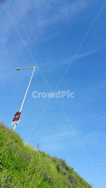 sky,wildflower,wildflowers,trafficsigns,wild flowers,traffic sign
