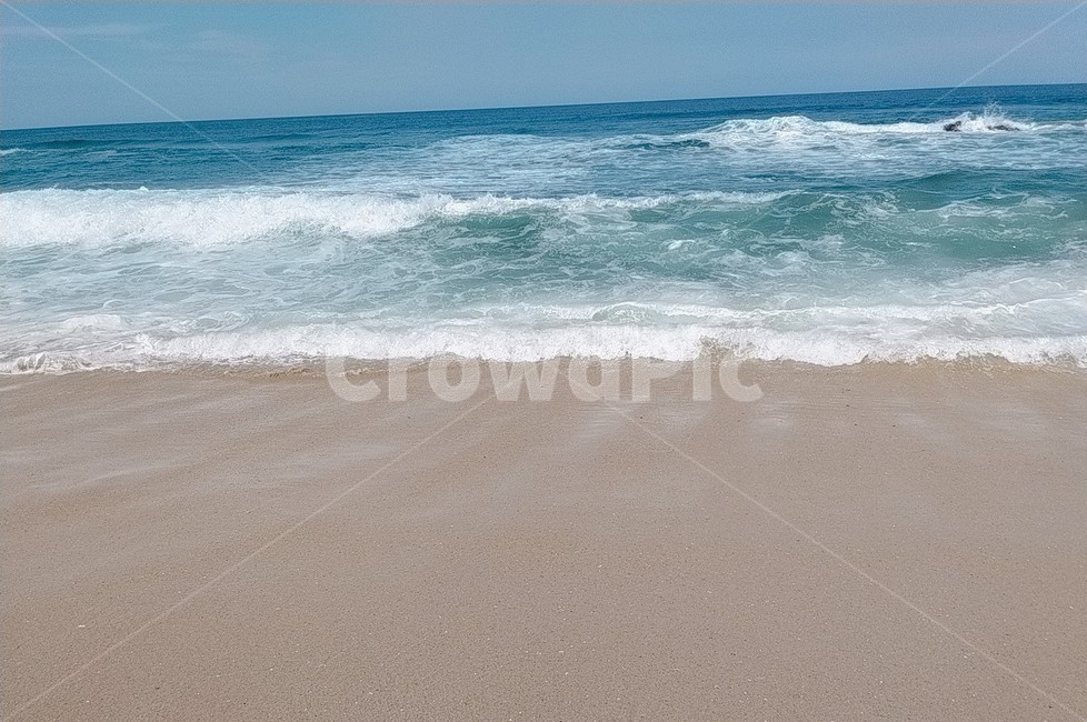 바다,자연,파랑색,바닷가,피서,여름,여름바다,파도,sea,나무,초록색,모래,모래사장