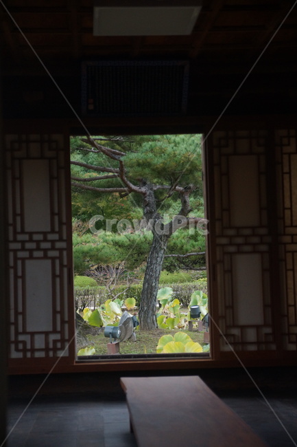 gangneung,강릉,선교장,sungyojang,바닥,floor,flooring,나무,wood,정자,pavilion,gazebo,summerhouse,building,건물,한국전통,한국문화,korean traditional,korean culture,건축물,건물외관,exterior,building,structure,architecture,construction