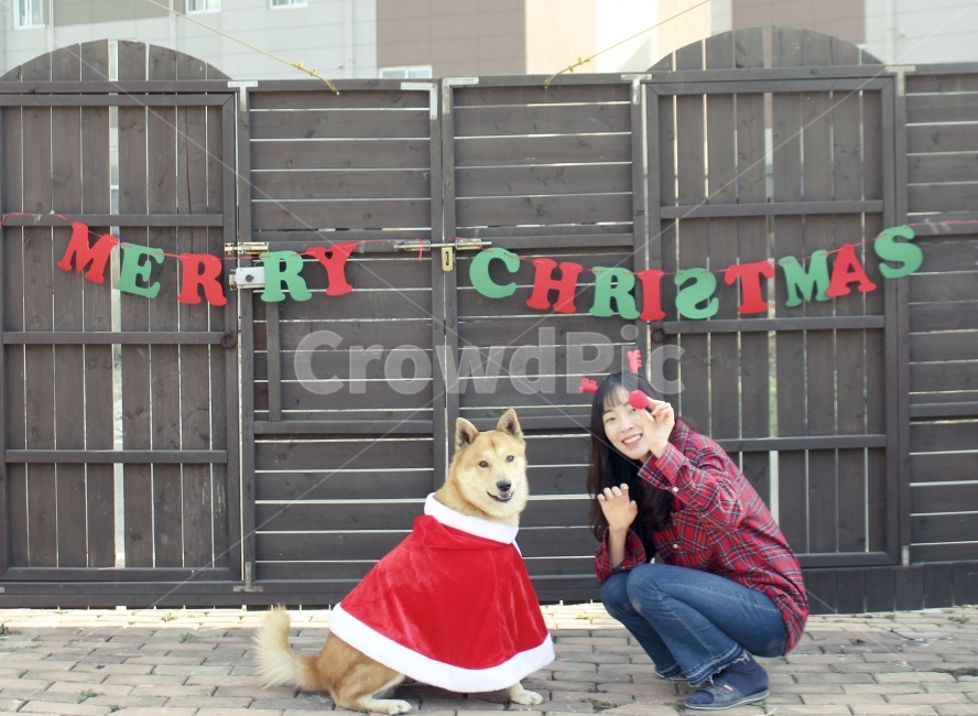 크리스마스,반려견,가족,사랑,산타,겨울,계절,winter,season,동물,animal,포유류,mammal,개,강아지,dog,doggy,사람,인물,인간,human,person,여성,여자,woman,female,lady,기념일,축하,anniversary,congratulation,celebrate,celebration,메리크리스마스,성탄절,merry christmas