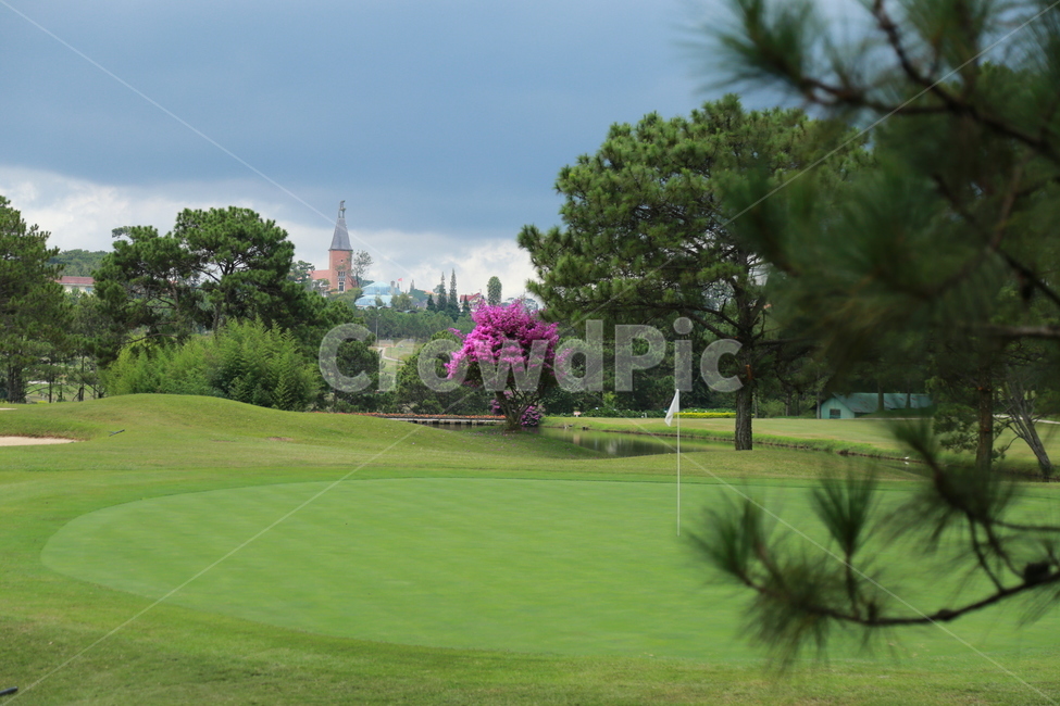 field,들,outdoors,golfcourse,골프코스,골프,그린,golf,green,nature,자연