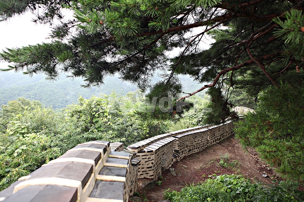 남한산성,성,성곽,길,둘레길,벽,숲길,숲,담,돌담,풍경,여름
