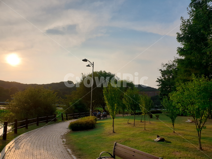 천안,안서호,노을,고양이,평화,길냥이,여유,호수,lake,cat,kitty,cheonan,sunset,peaceful,park,공원