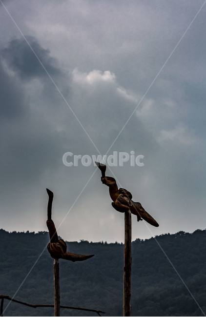 솟대,하늘,공예,조각,향수,목각예술,감성,한국전통,한국문화,korean traditional,korean culture,조각상,동상,석상,조형물,statue,bronze statue,stone statue