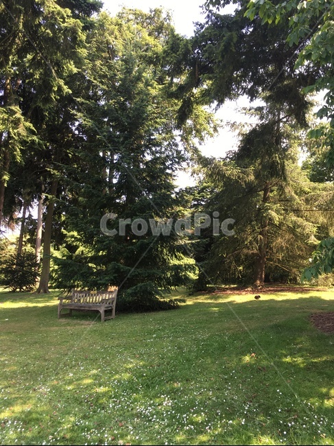 공원,파크,휴식,감성,영국,park,화창한,맑은,garden,정원,자연,풍경,nature,landscape,휴식,힐링,rest,relaxation,healing,grass,잔디,plant,식물,tree,나무