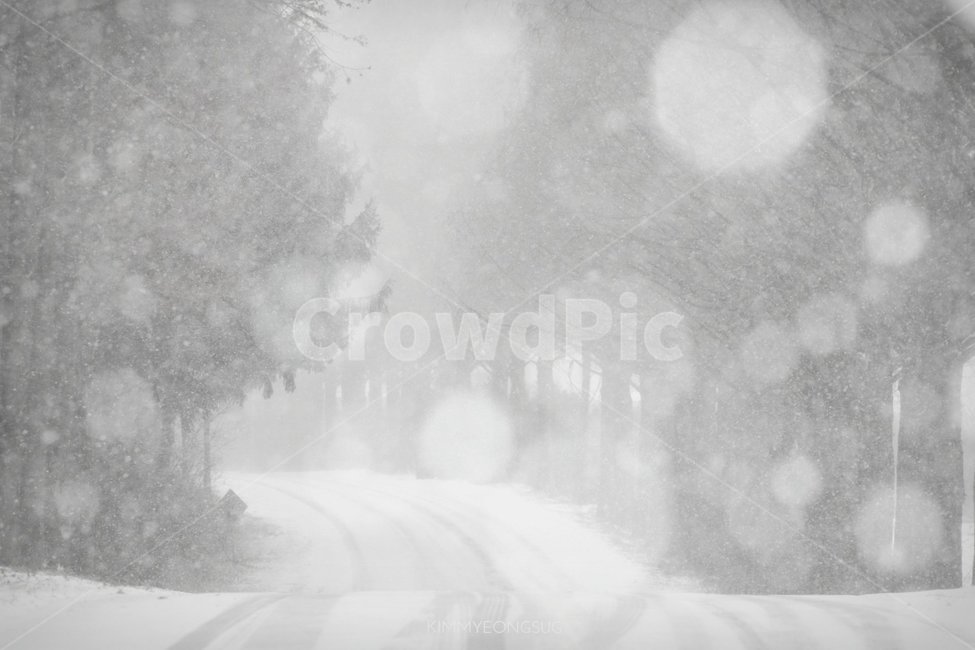 겨울,힐링,여행,한국의겨울,겨울여행,겨울,계절,winter,season,흑백,모노톤,monochrome,black and white
