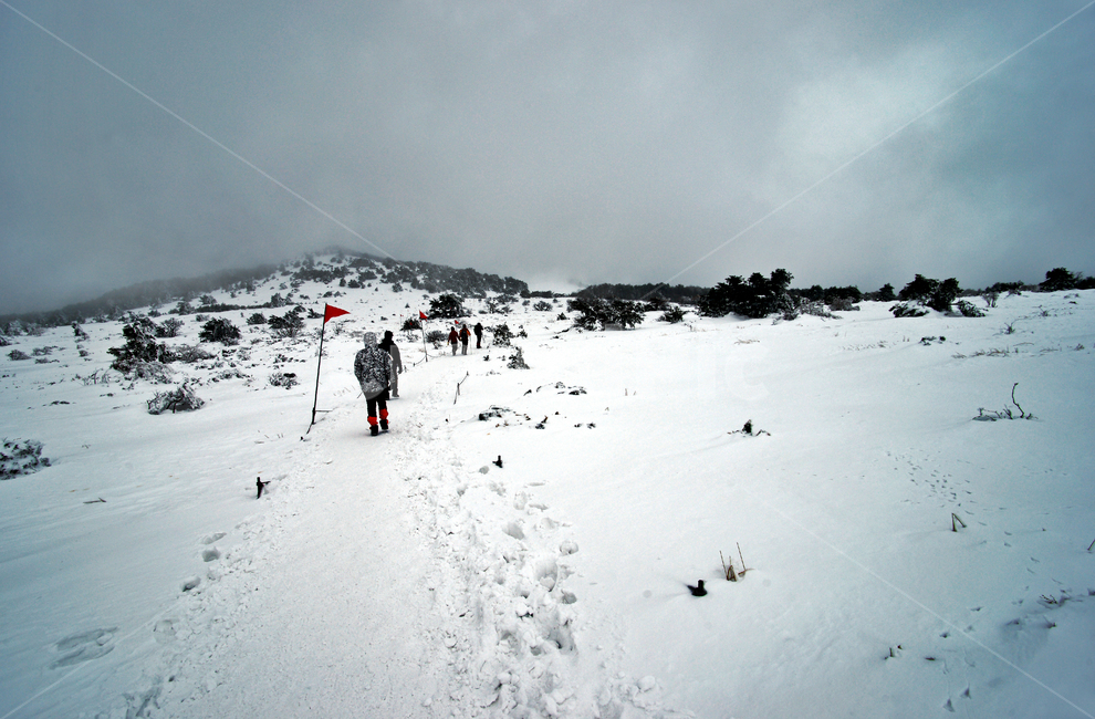 한라산,제주도,영실코스,설경,눈,겨울,설화,등산객,등산,발자국,겨울,계절,winter,season