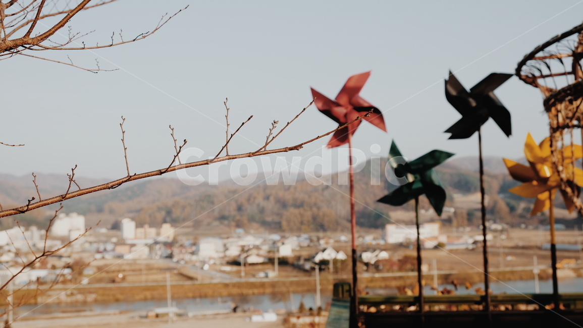감성,바람개비,전망대,식물,잎,plant,leaf