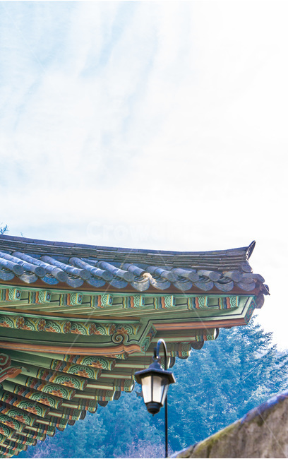 처마,추녀,단청,사찰,패턴,한국전통,한국문화,korean traditional,korean culture,건축물,건물외관,exterior,building,structure,architecture,construction