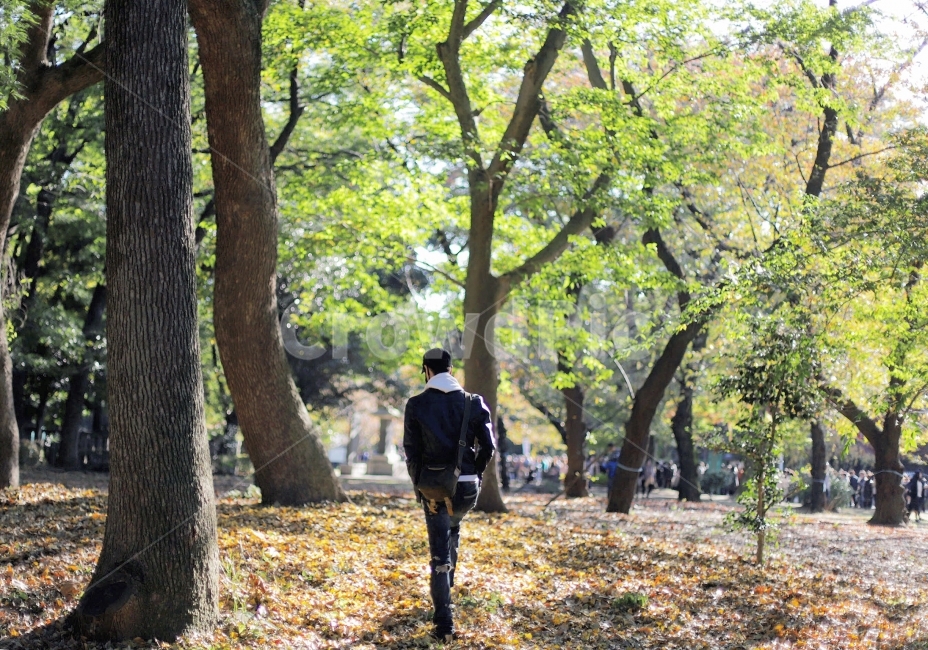 남자,숲,뒷모습,공원,산책,겨울,식물,자연,plants,nature,나무,trees,wood,사람,인물,인간,human,person,남성,남자,man,male